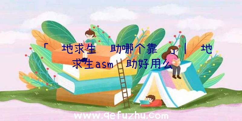 「绝地求生辅助哪个靠谱」|绝地求生asm辅助好用么